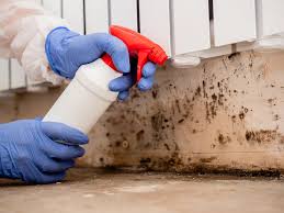 Best Industrial Mold Remediation  in Moodus, CT